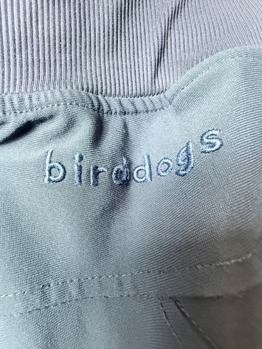 Birddogs bird dog